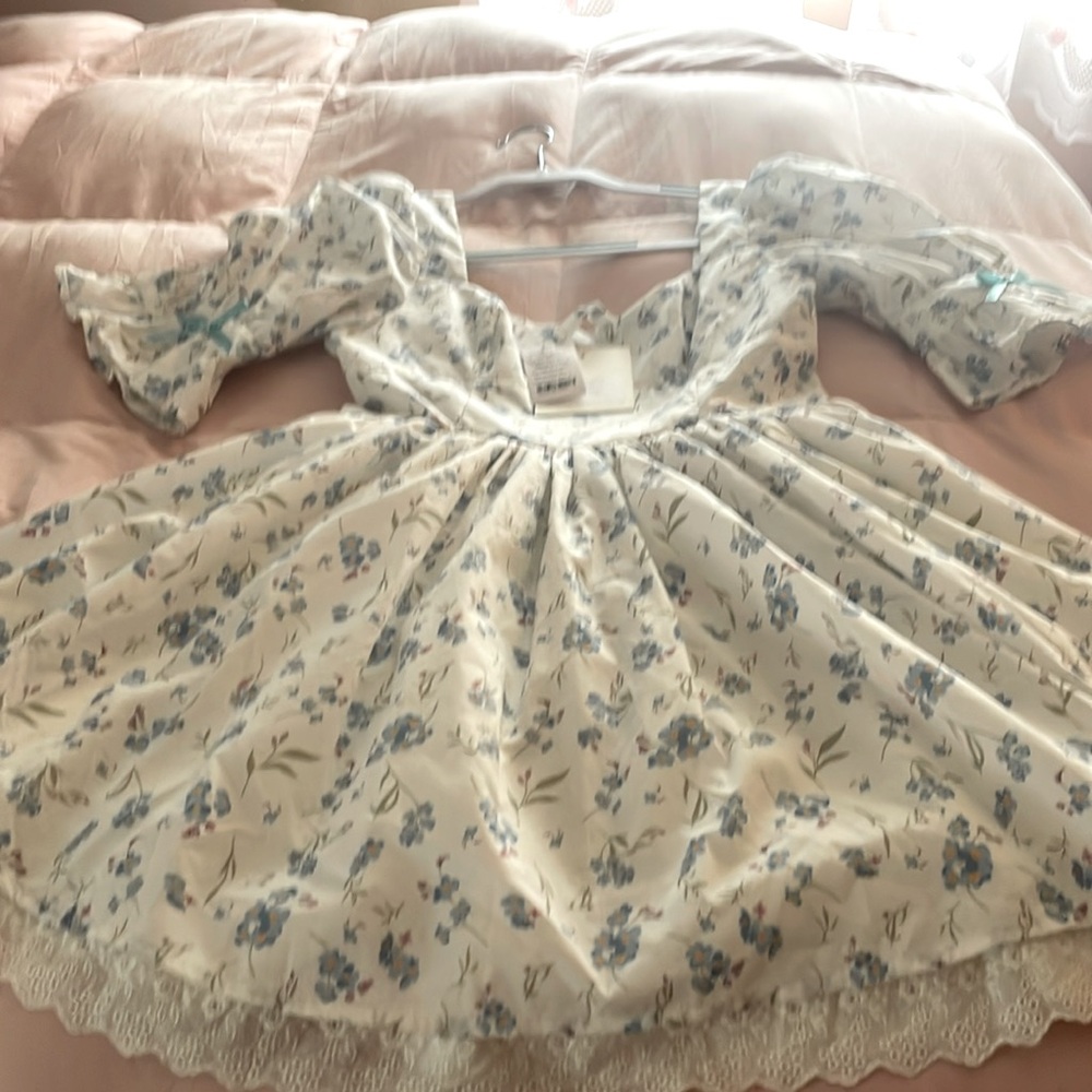 Moonsea short sleeve dress size lg, blue flowers on white.